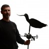 Girouette - Avocette proportion