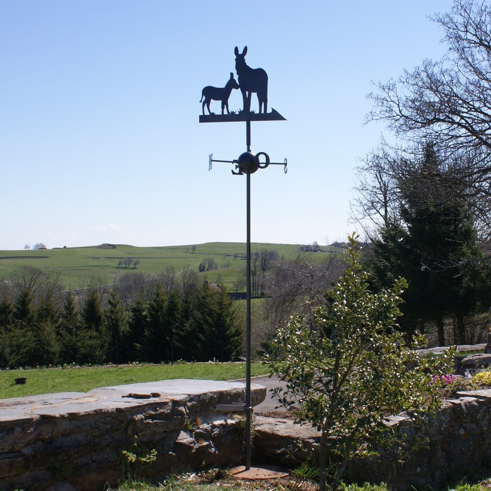 Girouette sur le toit du Château d'Ainay-le-Vieil (18) - Photo de LES  GIROUETTES - Le JardinOscope coté pratique, les bons gestes à faire au  jardin