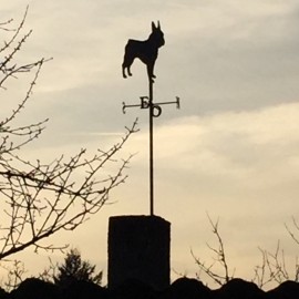 Photo Girouette - Bouledogue Français + Mat1 au sommet d'une cheminée