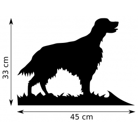 Girouette - Setter Gordon dimension