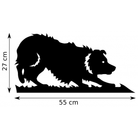 Girouette - Border Collie - dimension