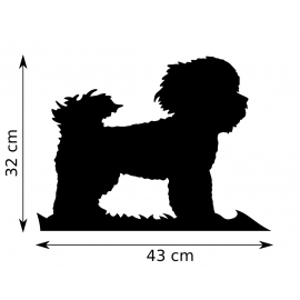 Girouette - Bichon Maltais - dimensions