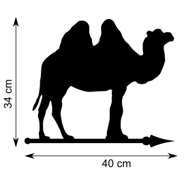 Chameau - Dimensions