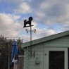 Photo girouette Bichon Maltais avec le support Mat 1 sur un cabanon de jardin
