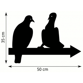 Girouette - Pigeons dimension