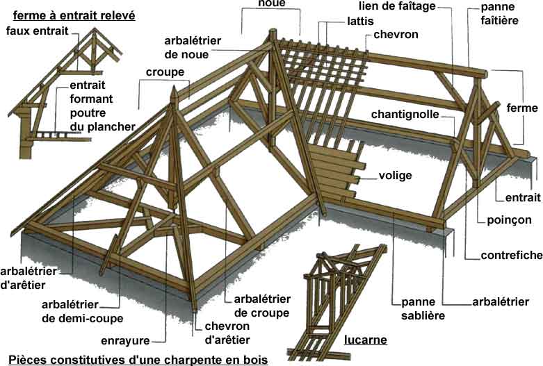 charpente d'une feuille