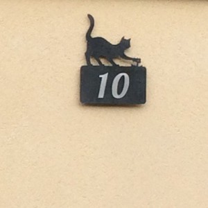 numero rue chat